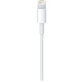 Apple Lightning auf USB-C Kabel (2,0 m)