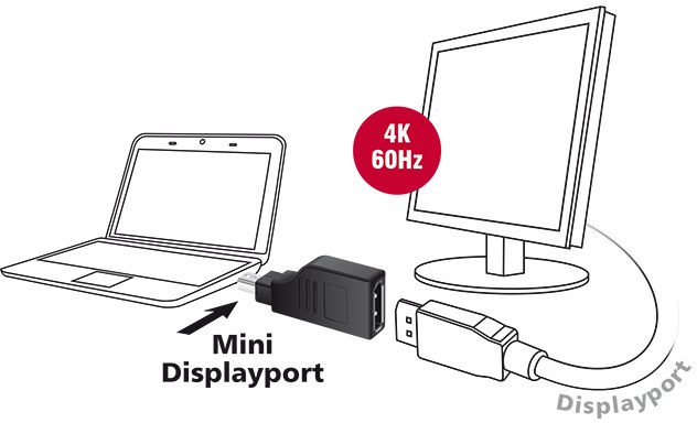 DeLock Adapter mini DisplayPort 1.2 Stecker > DisplayPort -