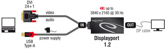 DeLock Adapterkabel DVI 24+1 Stecker > Displayport 1.2 Buchse -