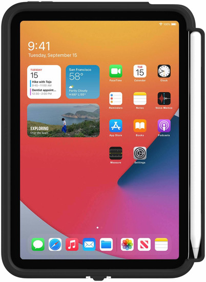 Griffin Survivor Endurance Case, Apple iPad mini (2021), schwarz, GIPD-031-BLK -