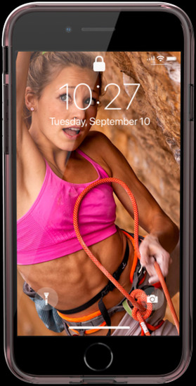 Urban Armor Gear [U] Lucent Case, Apple iPhone SE (2020)/8/7, dusty rose, 11204N314848 -
