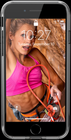 Urban Armor Gear [U] Lucent Case, Apple iPhone SE (2020)/8/7, ice (transparent), 11204N314343 -