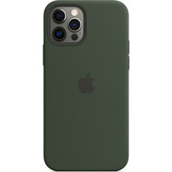 Apple Silikon Case iPhone 12/ 12 Pro mit MagSafe (zyperngrün)