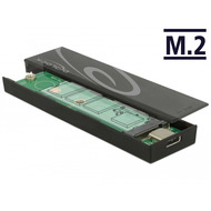 DeLock Gehuse M.2 SSD 42/ 60/ 80 > USB Type-C