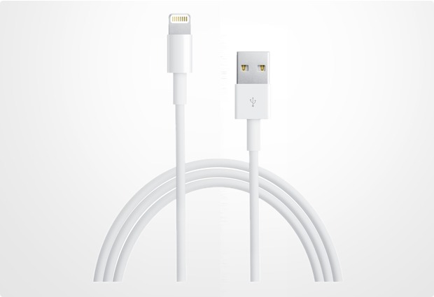 Apple Lightning auf USB Kabel (1,0 m)
