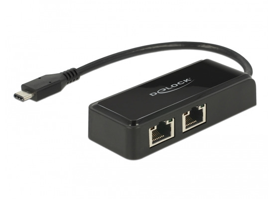 DeLock Adapter USB 3.0 Type-C > 2 x Gigabit LAN RJ45 Delock