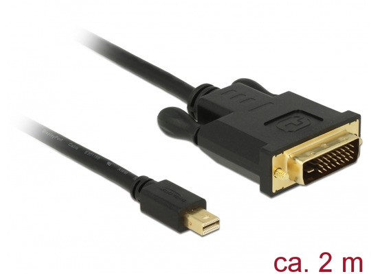 DeLock Kabel mini Displayport 1.1 Stecker > DVI 24+1 Stecker schwarz 2 m