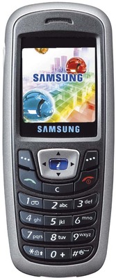 Samsung SGH-C210N, grey